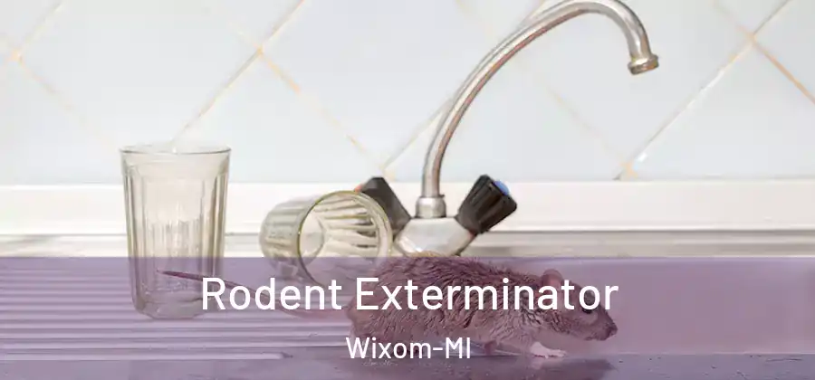 Rodent Exterminator Wixom-MI
