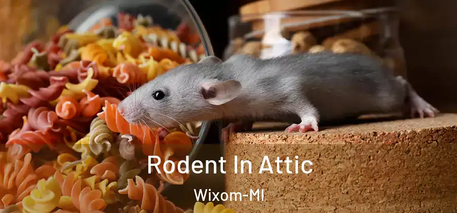 Rodent In Attic Wixom-MI