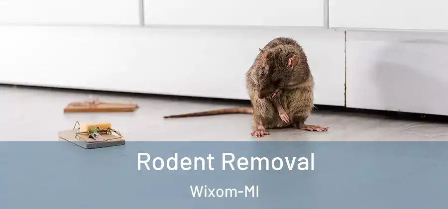 Rodent Removal Wixom-MI