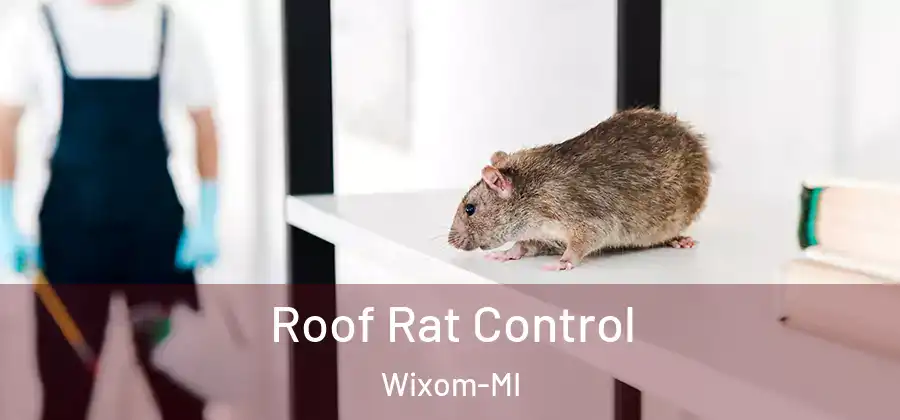 Roof Rat Control Wixom-MI