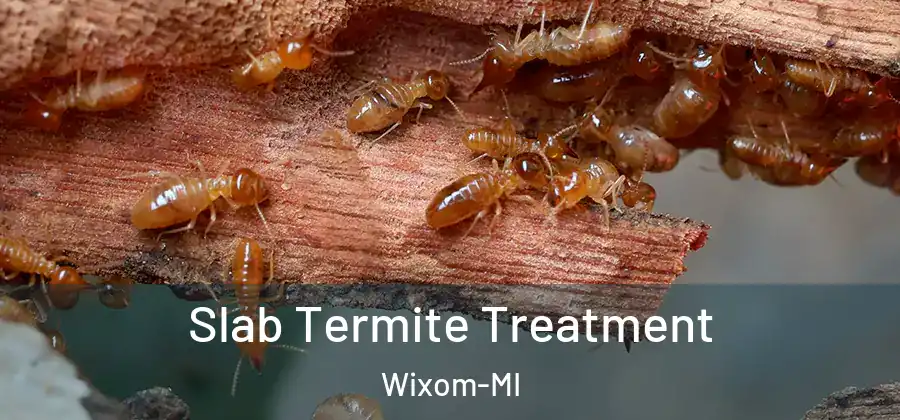 Slab Termite Treatment Wixom-MI