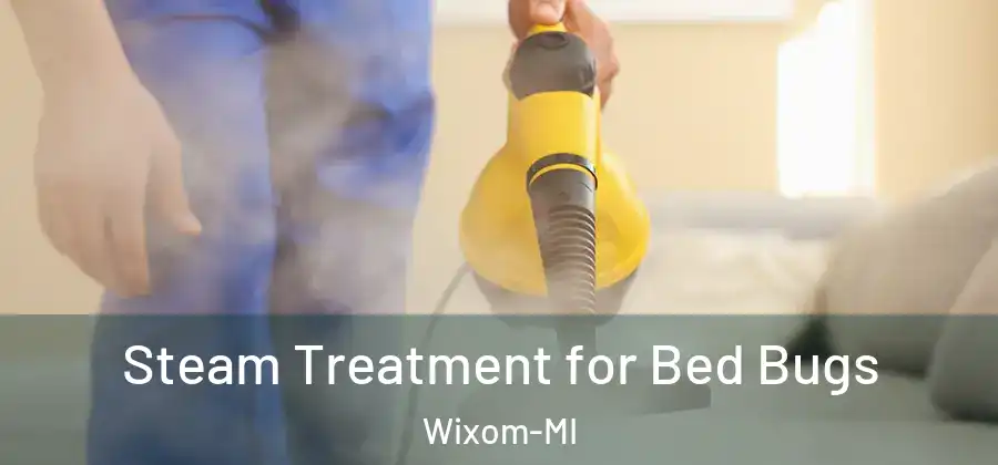 Steam Treatment for Bed Bugs Wixom-MI