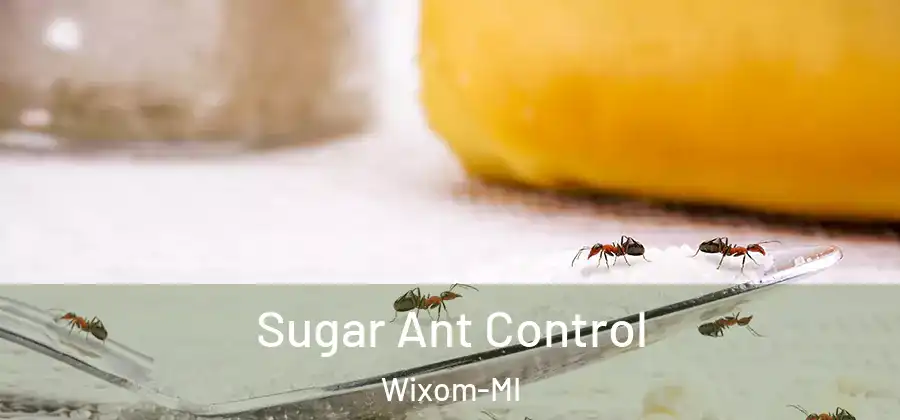 Sugar Ant Control Wixom-MI