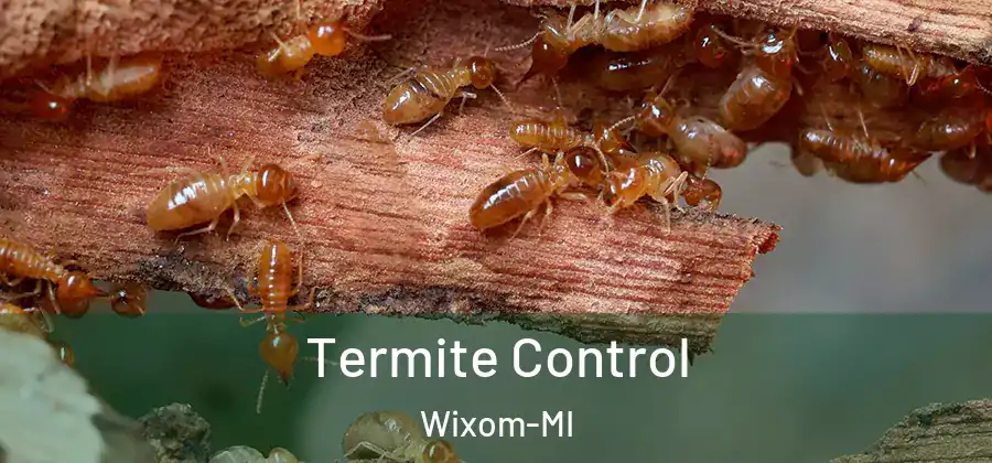Termite Control Wixom-MI