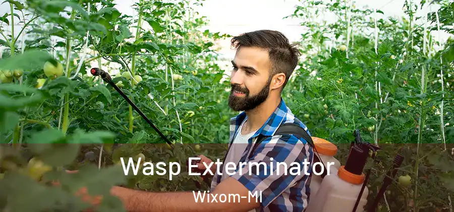 Wasp Exterminator Wixom-MI
