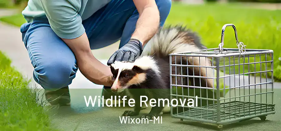 Wildlife Removal Wixom-MI