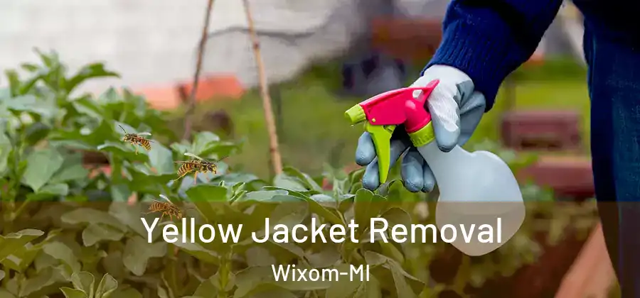 Yellow Jacket Removal Wixom-MI
